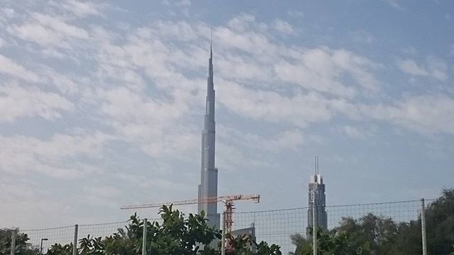 sky, tree, low angle view, cloud - sky, built structure, tall - high, cloud, architecture, growth, cloudy, day, building exterior, outdoors, nature, no people, fuel and power generation, tower, tall, palm tree, connection