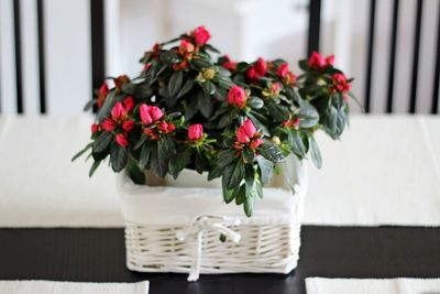 Pink flowers in wicker basket over table at home