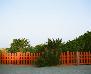 Palm trees and plants against clear sky