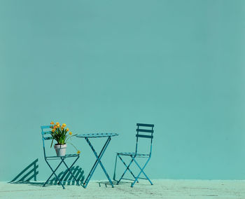 Potted plant with chairs and table against blue wall