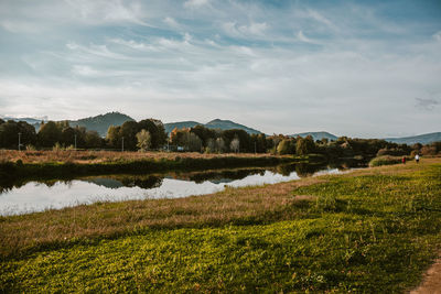 Scenic view of field against sky
