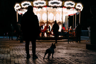 Rear view of people with dog on street in illuminated city by carousel at night