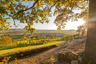 Scenic view of landscape against sky during autumn