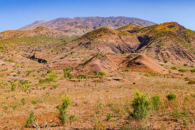 A picturesque mountain slope formed by volcanism and grass, fogo island, cape verde islands