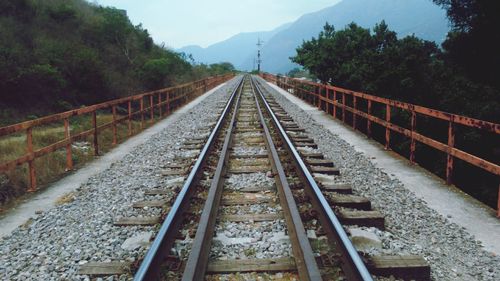 Railroad tracks amidst trees against sky