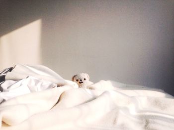 Teddy bear on bed against white wall