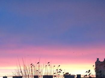 Cranes against sky during sunset