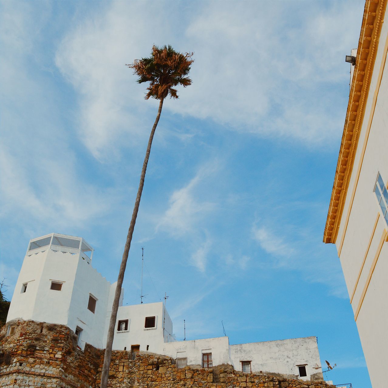 building exterior, architecture, built structure, low angle view, sky, cloud - sky, cloud, building, house, residential building, blue, residential structure, city, tree, day, outdoors, cloudy, no people, tall - high, growth