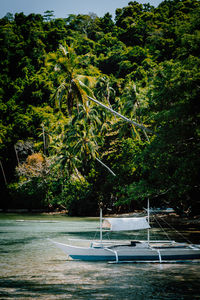 Scenic view of sea against trees in forest