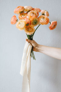Cropped hand holding orange flowers by white wall