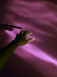 Close-up of hand on purple flower