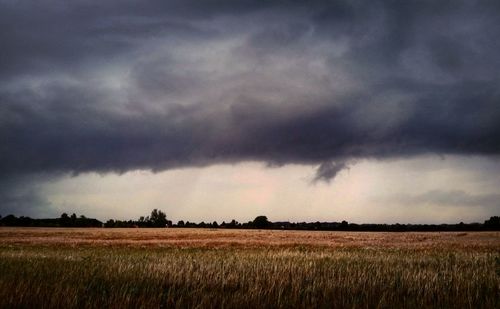 Scenic view of field against cloudy sky