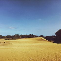 Scenic view of landscape