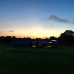 Trees on field at sunset