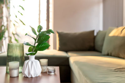 Potted plant on table at home
