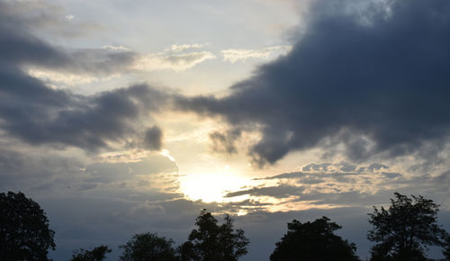 Low angle view of silhouette trees against sky during sunset