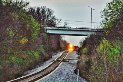 Railroad tracks on road