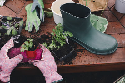 Cropped image of woman planting in old shoe