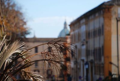 Close-up of residential building against sky