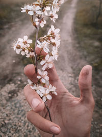 Midsection of person holding cherry blossom