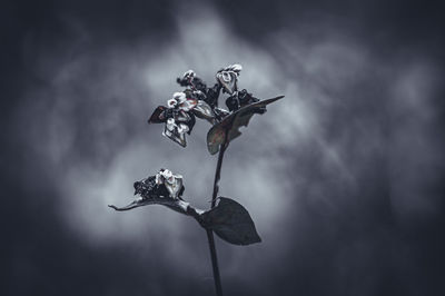 darkness