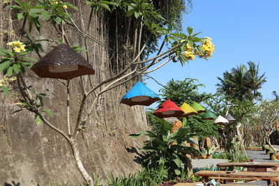 Low angle view of flowering plants against sky