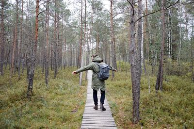 Rear view of man walking in forest