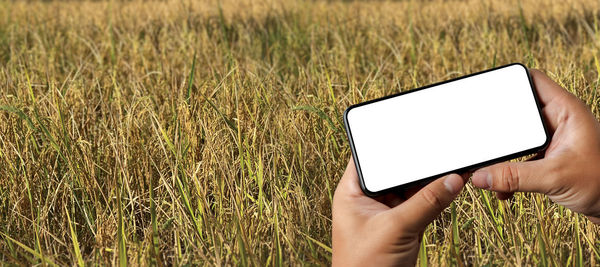 Midsection of person using mobile phone on field