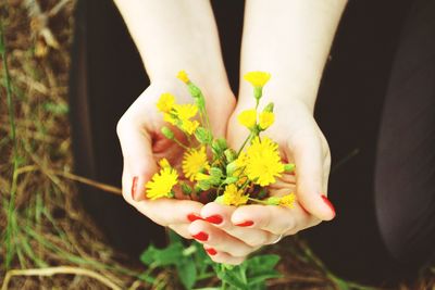 Cropped hands of woman holding yellow flowers