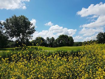 Scenic view of field against cloudy sky