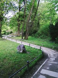 Footpath amidst trees