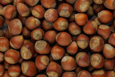 A pile of hazelnuts with shells full frame close-up background