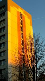 Close-up of yellow text on building against sky