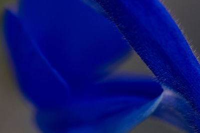 Close-up of blue fabric