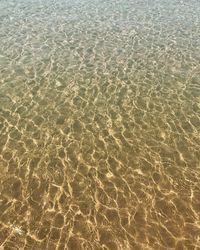 Full frame shot of beach