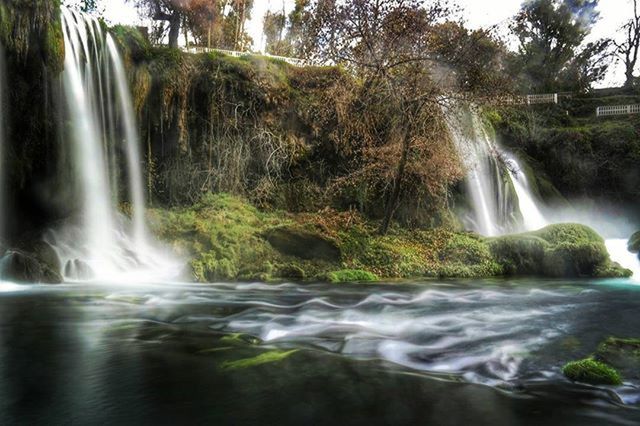 waterfall, motion, water, flowing water, long exposure, flowing, blurred motion, splashing, power in nature, beauty in nature, nature, scenics, tree, surf, environment, rock - object, forest, idyllic, waterfront, outdoors