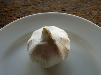 High angle view of bread on plate