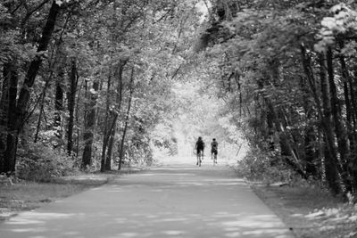 Rear view of people walking on road amidst trees in forest