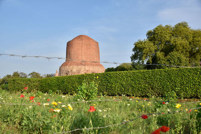 Scenic view of flowering plants on field against sky