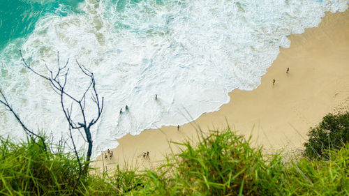 Scenic view of sea shore