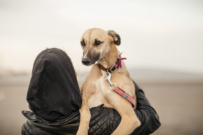 Portrait of dog looking at camera against sky over owners shoulder