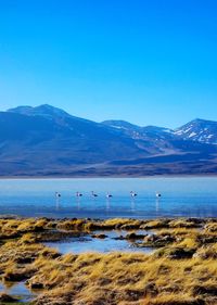 Scenic view of sea and mountains against clear blue sky