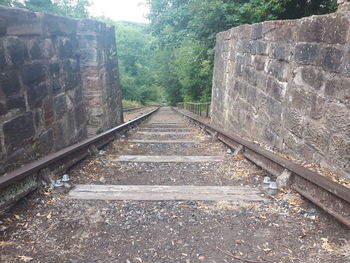 Railroad tracks amidst trees