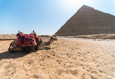 Tourists in a desert