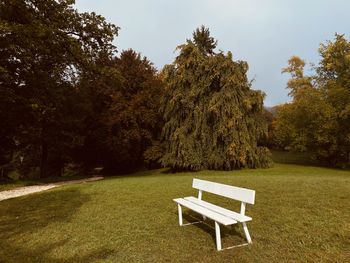 Park bench on field by trees against sky