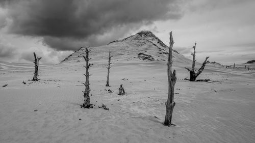 Dead tree on field against cloudy sky