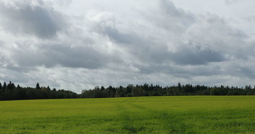 Scenic view of landscape against sky