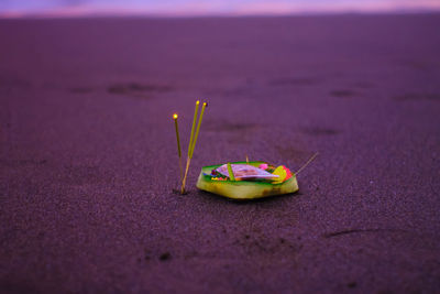 Close-up of toy on sand