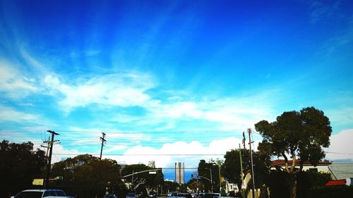 Low angle view of trees against blue sky