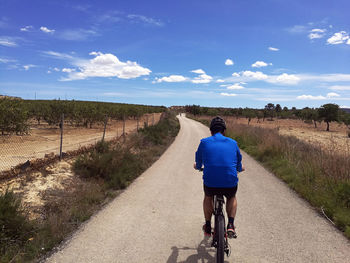 Rear view of man riding bicycle on road